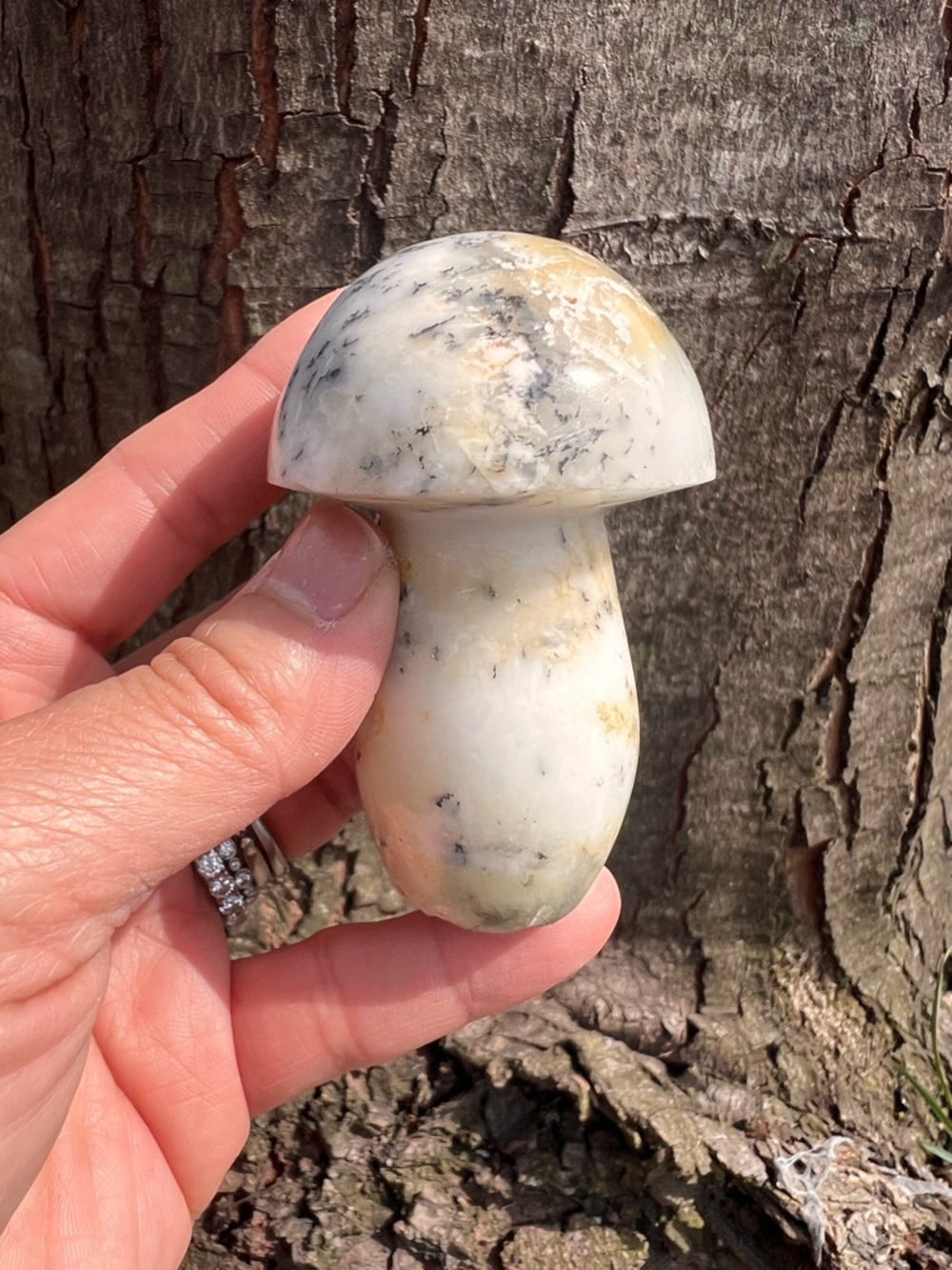 Dendritic (3) Opal Mushroom | Carving